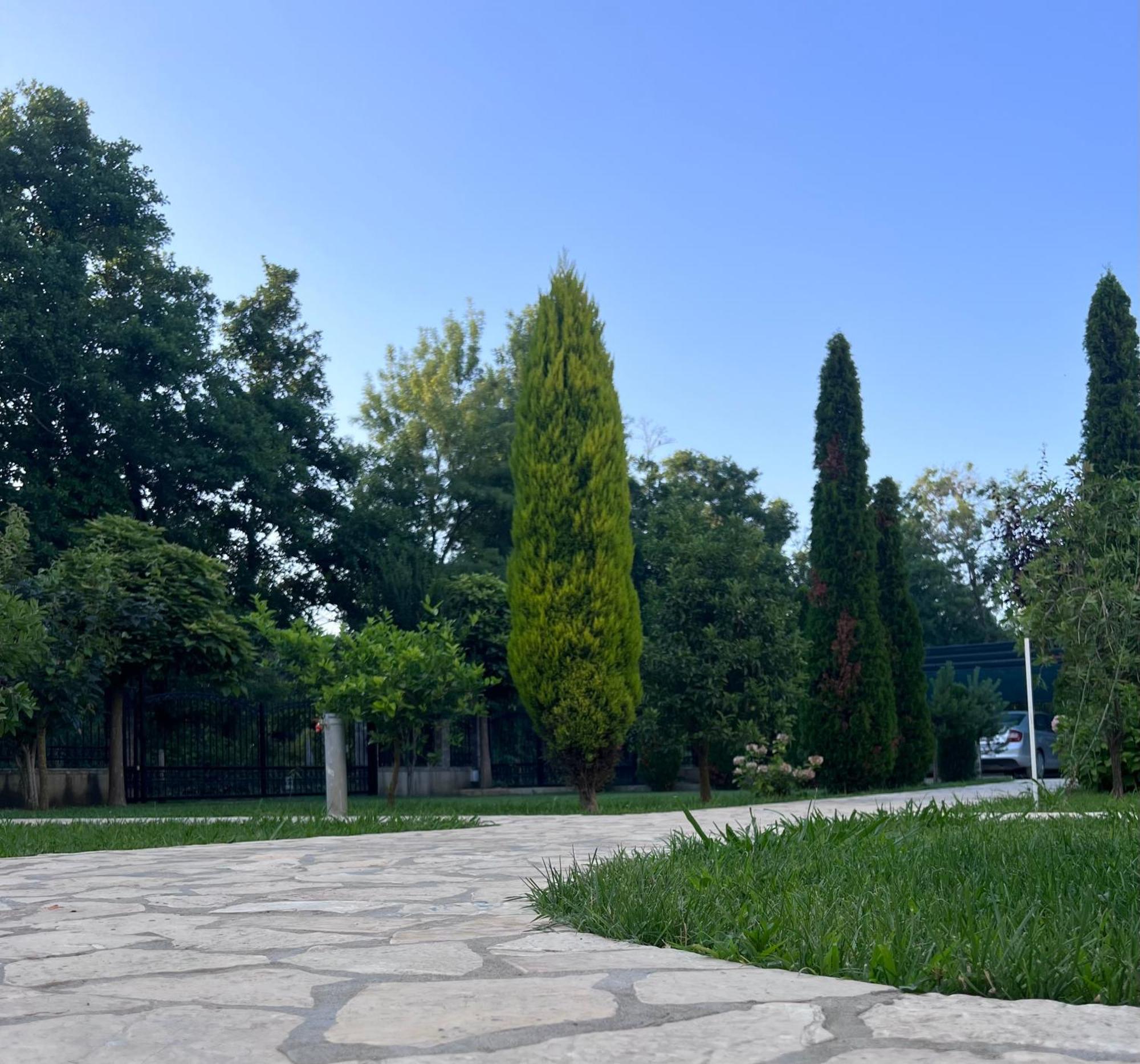 Residence Leora Ulcinj Exterior photo